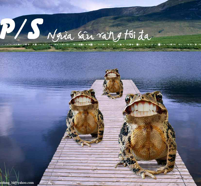 Quảng cáo PS